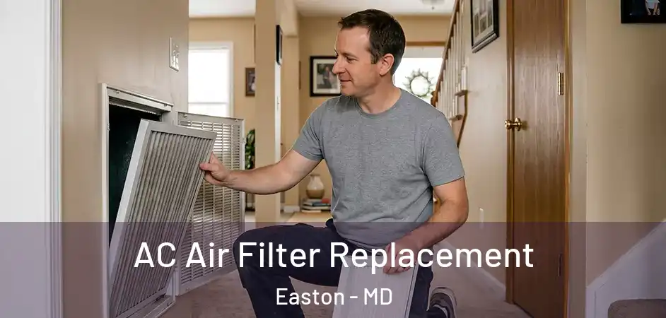 AC Air Filter Replacement Easton - MD