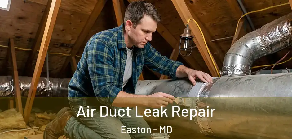  Air Duct Leak Repair Easton - MD