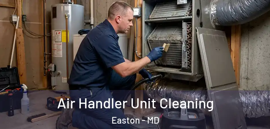 Air Handler Unit Cleaning Easton - MD