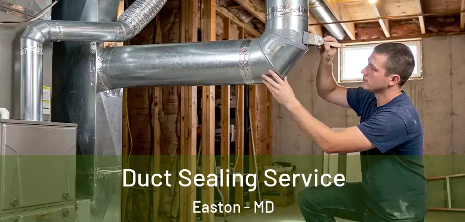 Duct Sealing Service Easton - MD