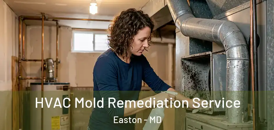  HVAC Mold Remediation Service Easton - MD